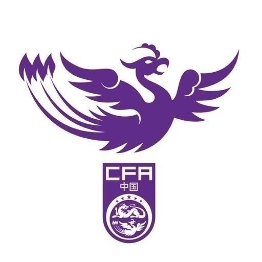  津媒：U17女足明日起兩戰日本定位整體實(shí)力，默契度有提升空間